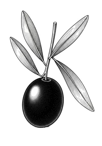 Imagen PNG para descargar